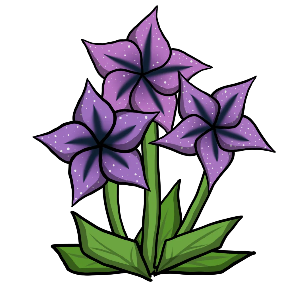 starflower